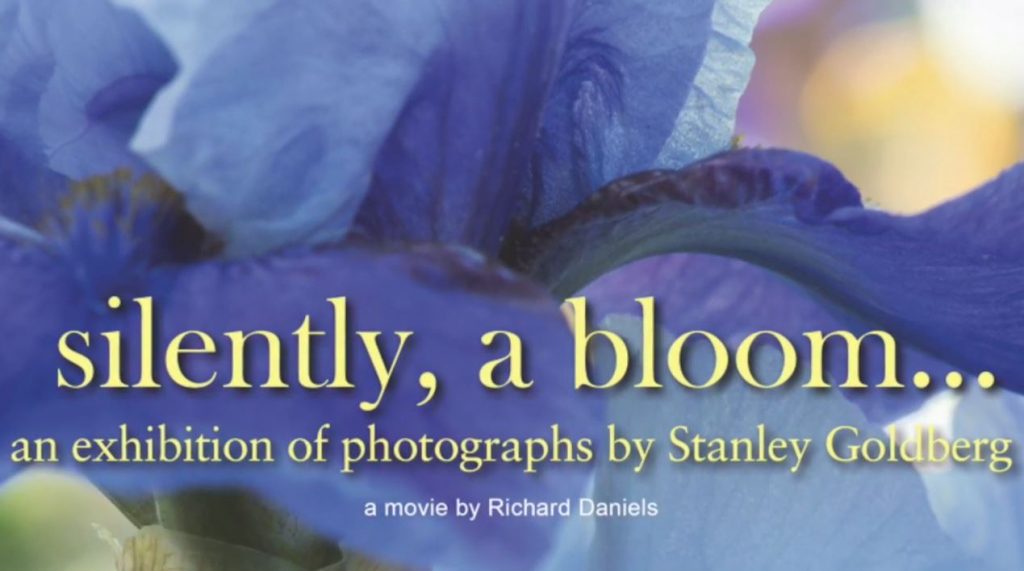 silently a bloom